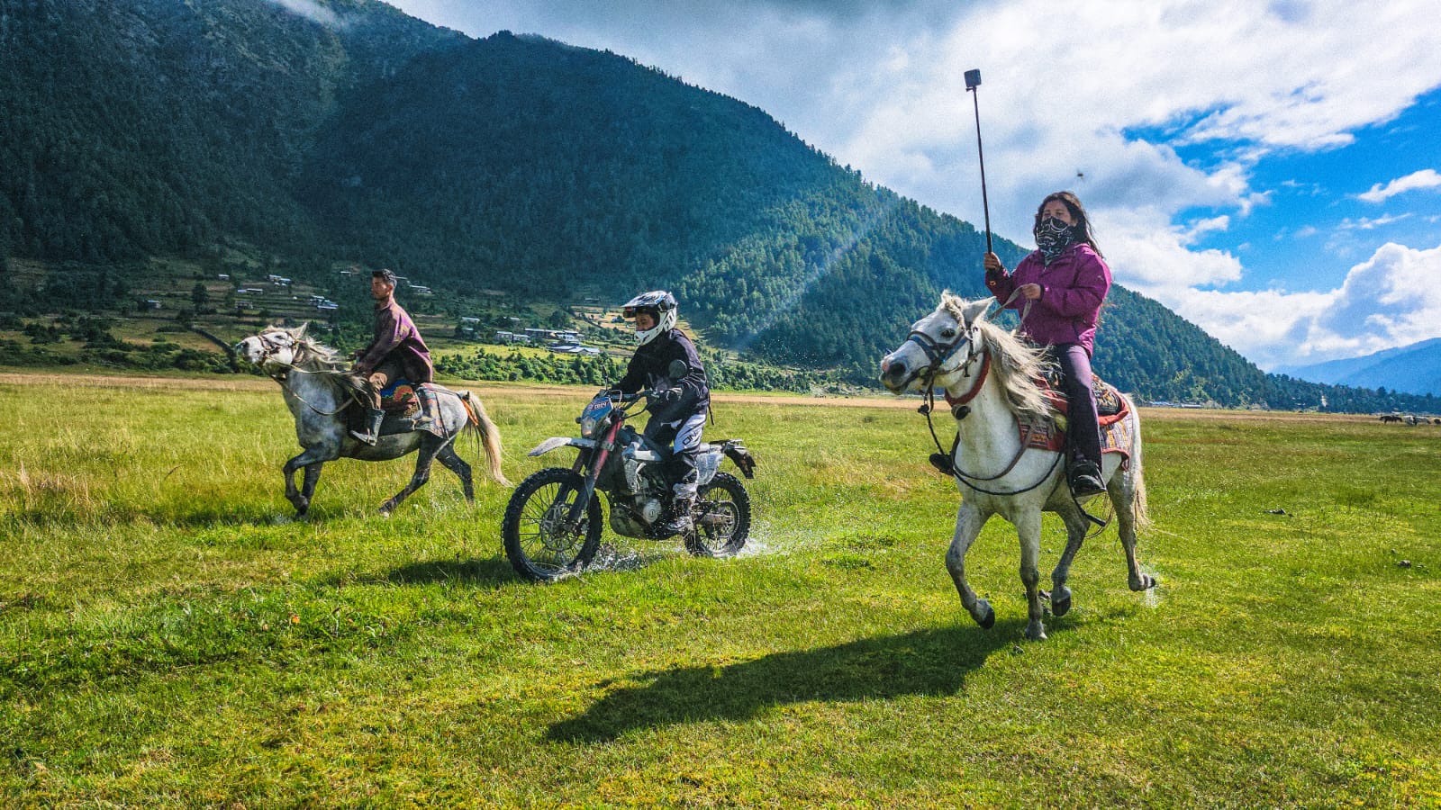 Rider surrounded by wild horses in a green valley